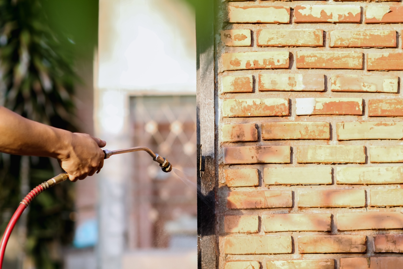 pest control services